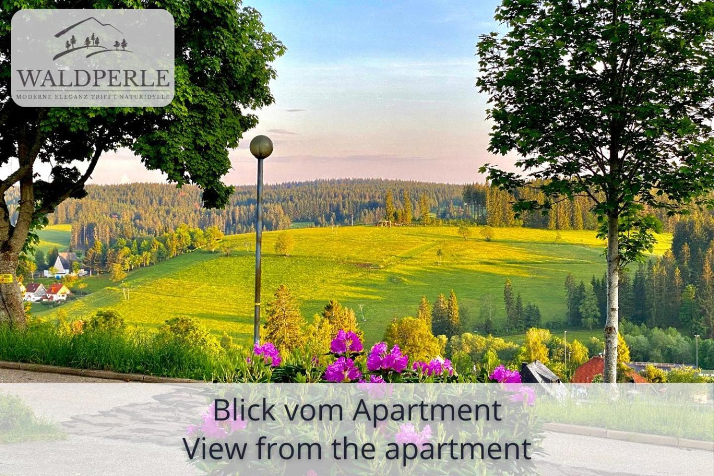 Auszeit Apartment Bellevue: Schwarzwald Panorama with Indoor Pool and Sauna Schonach im Schwarzwald Exterior photo