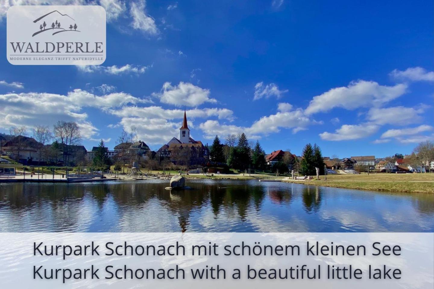 Auszeit Apartment Bellevue: Schwarzwald Panorama with Indoor Pool and Sauna Schonach im Schwarzwald Exterior photo